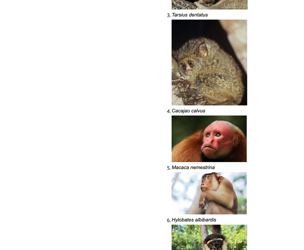Solved Part 4 Primate Taxonomy This image is a simplified