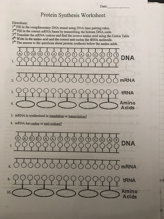 Solved: Date: Protein Synthesis Worksheet Directions: 1" F... | Chegg.com