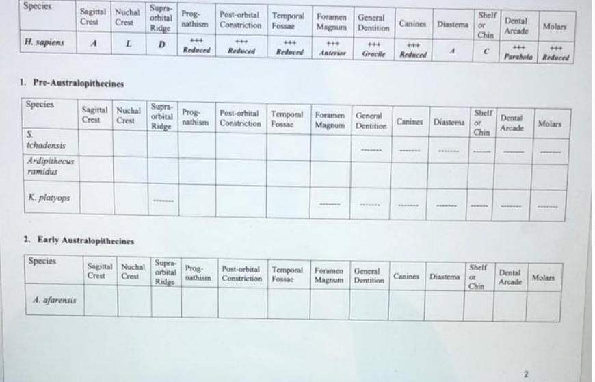 Solved Score each trait using the measures below. Traits | Chegg.com