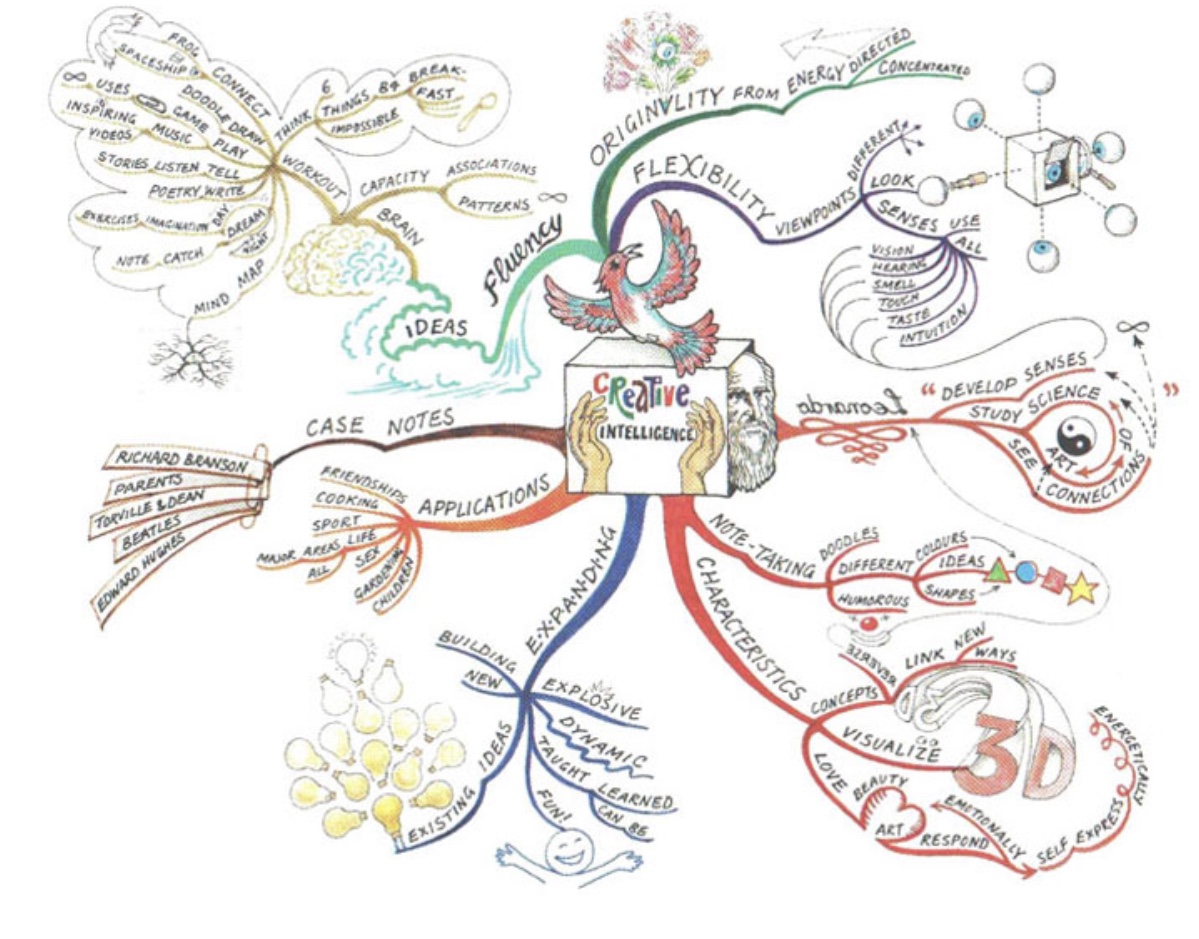 Above is an example of mind map diagramDraw a mind | Chegg.com