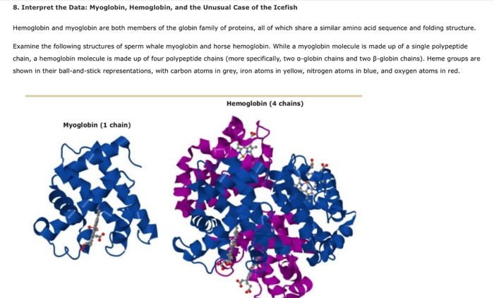 Solved 8. Interpret the Data: Myoglobin, Hemoglobin, and the