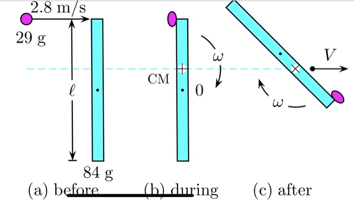 solved-a-small-piece-of-putty-of-mass-29g-and-negligible-chegg