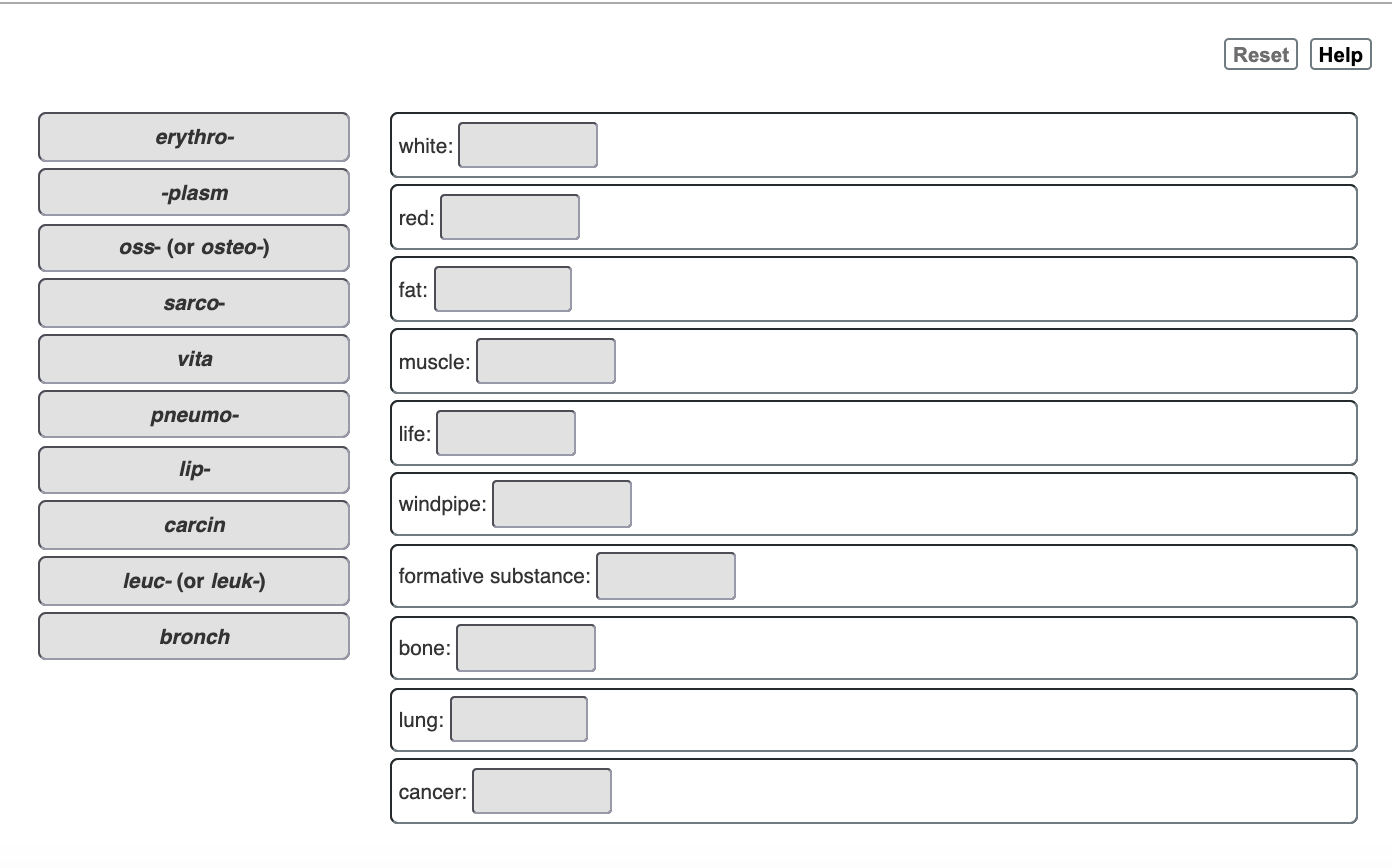 solved-can-you-match-these-prefixes-suffixes-and-word-chegg