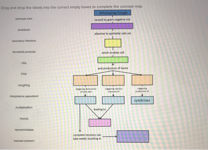 Solved Select which age group is most susceptible to RSV | Chegg.com