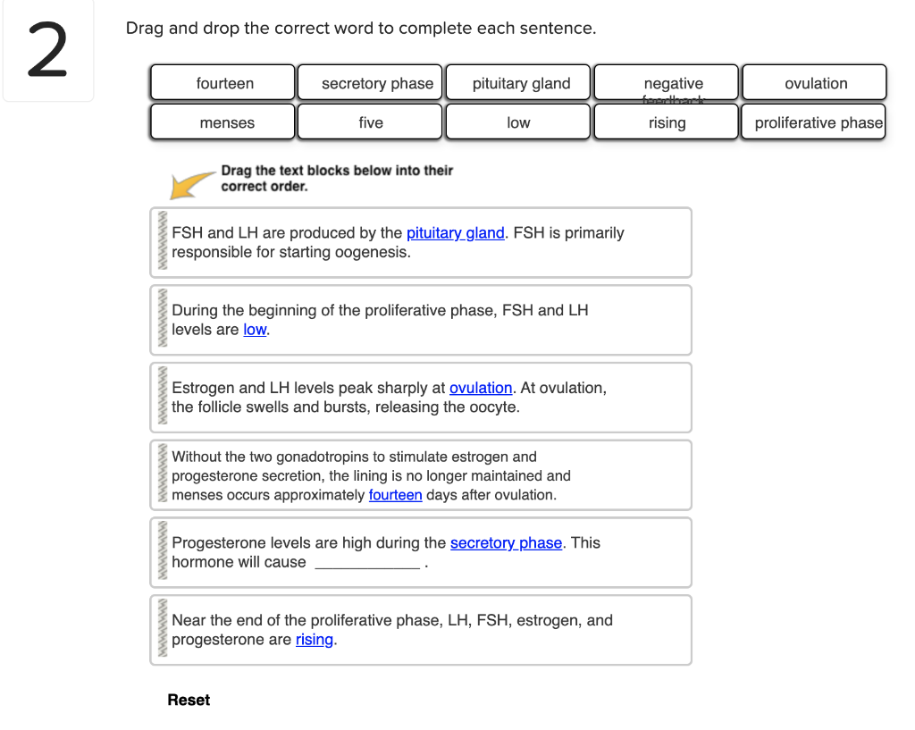 10-printable-correct-the-sentences-1st-2nd-grade-ubicaciondepersonas