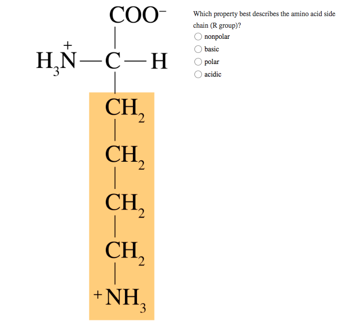 Solved COO- + Which property best describes the amino acid | Chegg.com