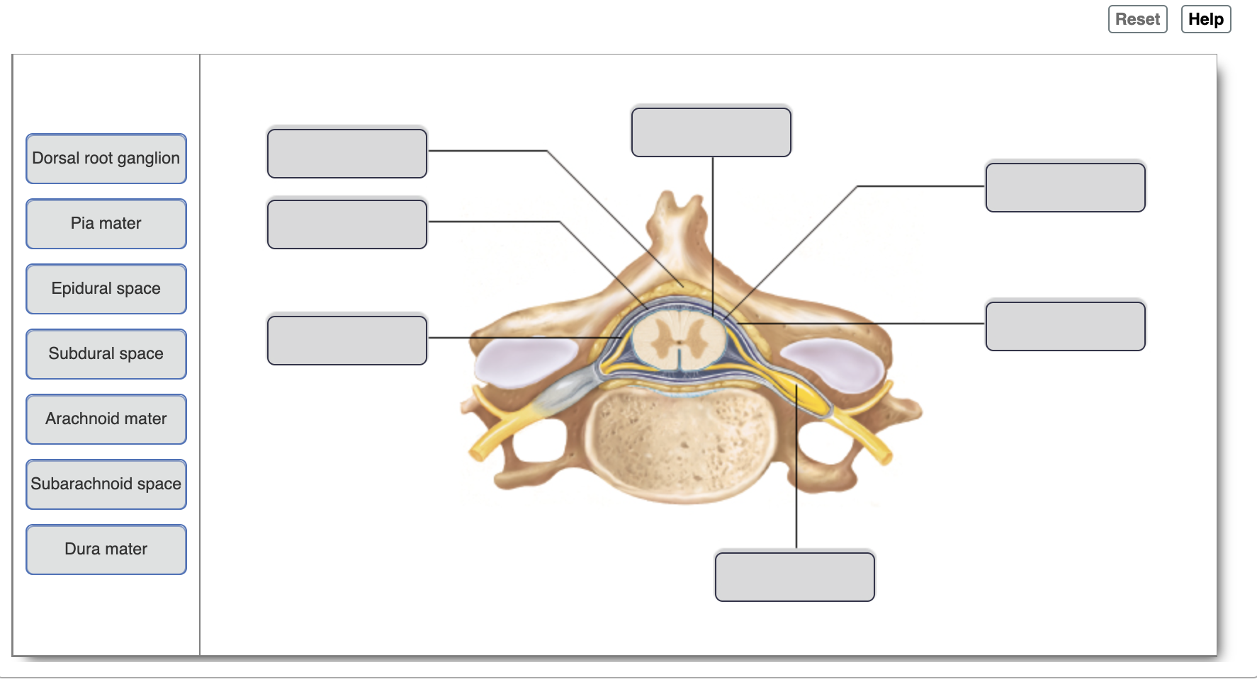 Solved Drag the appropriate labels to their respective | Chegg.com