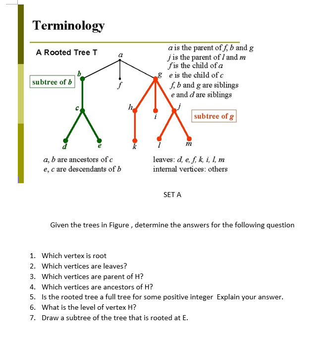 Terminology SET A Given the trees in Figure, | Chegg.com