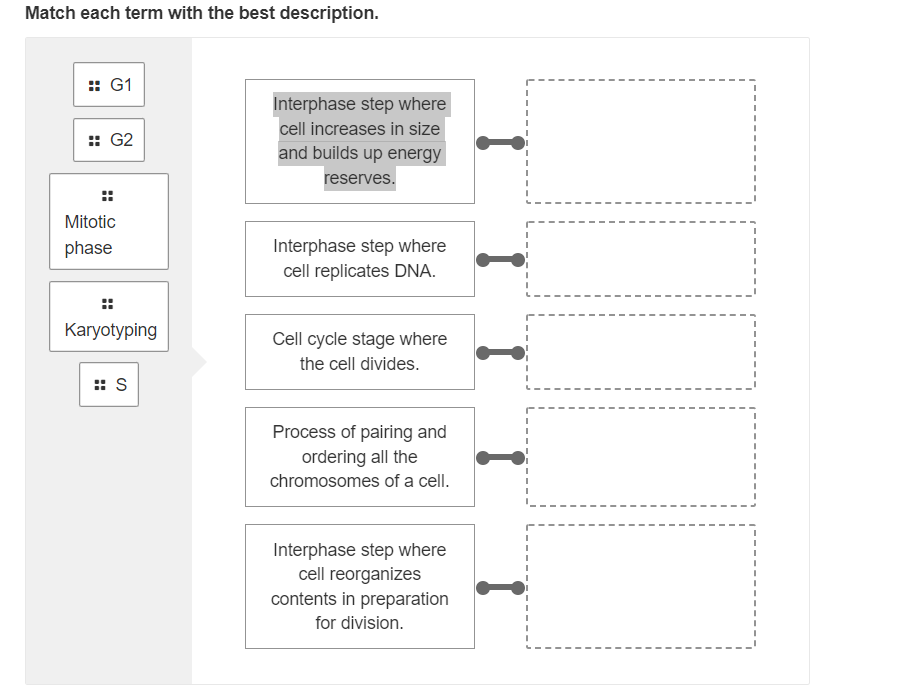 solved-interphase-step-where-cell-increases-in-size-and-chegg