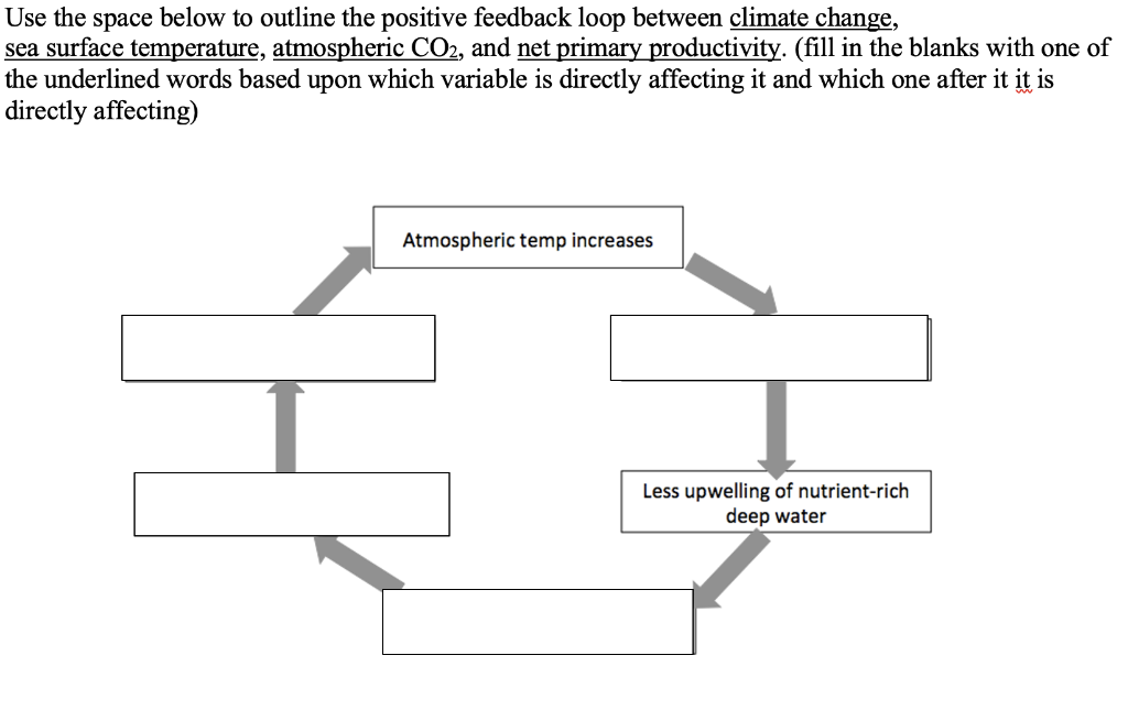 solved-use-the-space-below-to-outline-the-positive-feedback-chegg