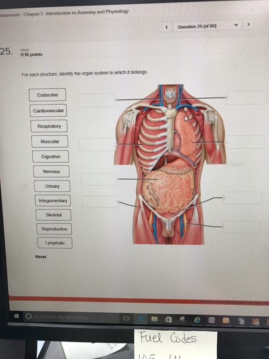 anatomy and physiology chapter 1 homework