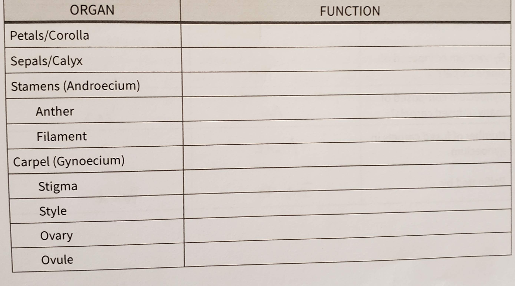Solved ORGAN FUNCTION Petals/Corolla Sepals/Calyx Stamens