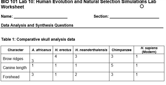 Human Origin 101