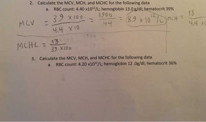 Solved Calculate The Mcv Mch And Mchc For The Following Off