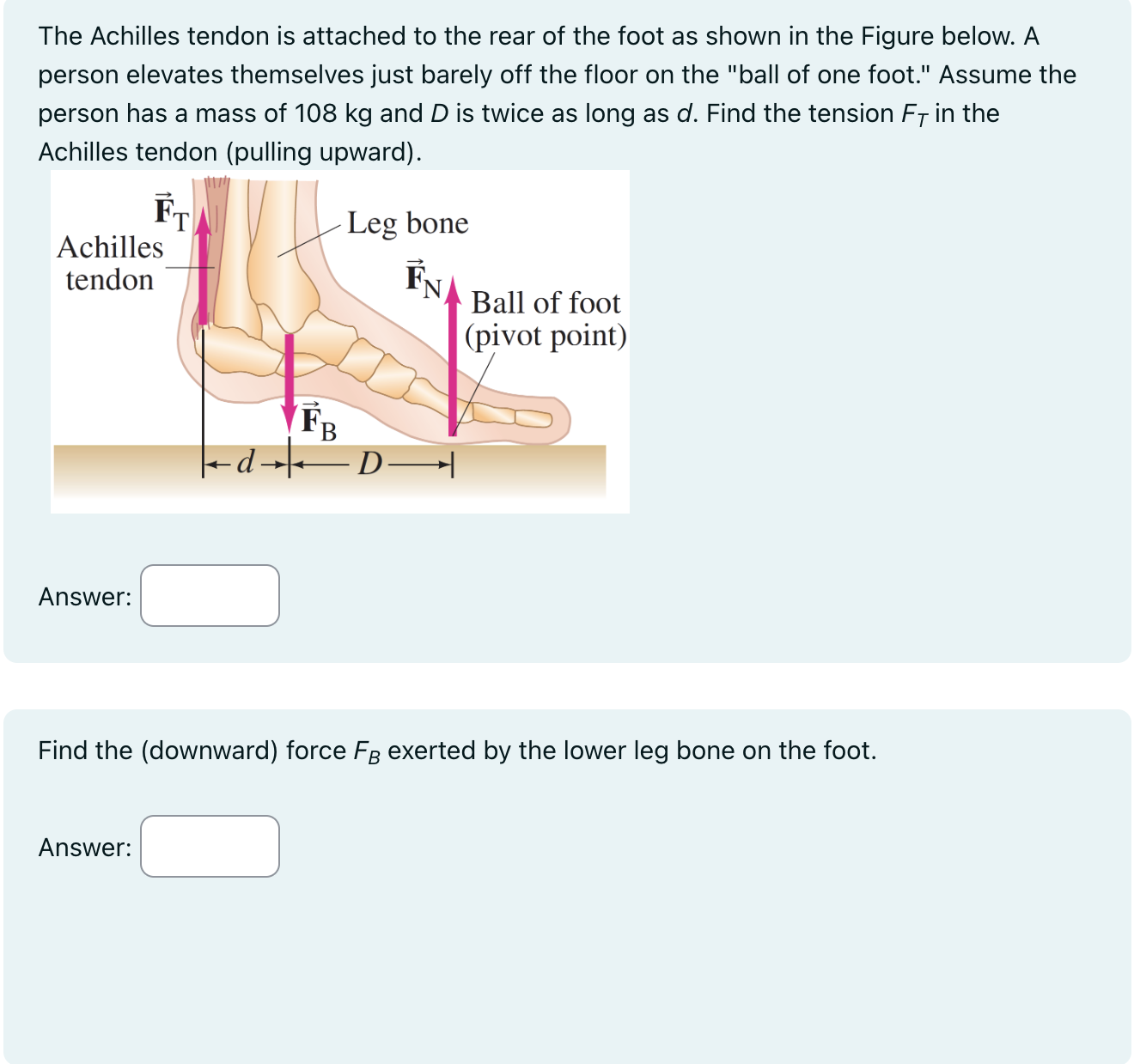 Ball on achilles on sale tendon