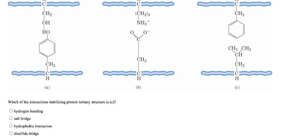 Solved 1. The Enzyme Succinate Dehydrogenase | Chegg.com