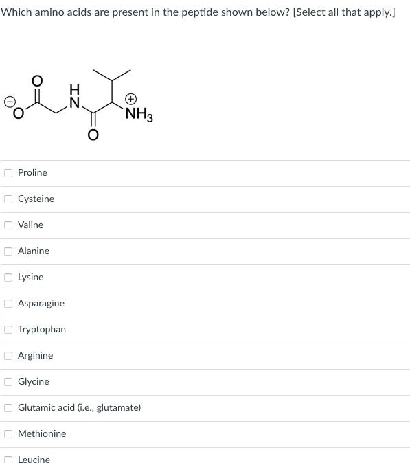 Solved Which amino acids are present in the peptide shown | Chegg.com