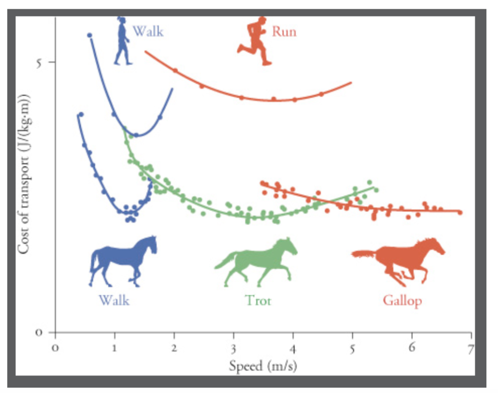 Solved Hint: the most energy effcient comibation of walking | Chegg.com
