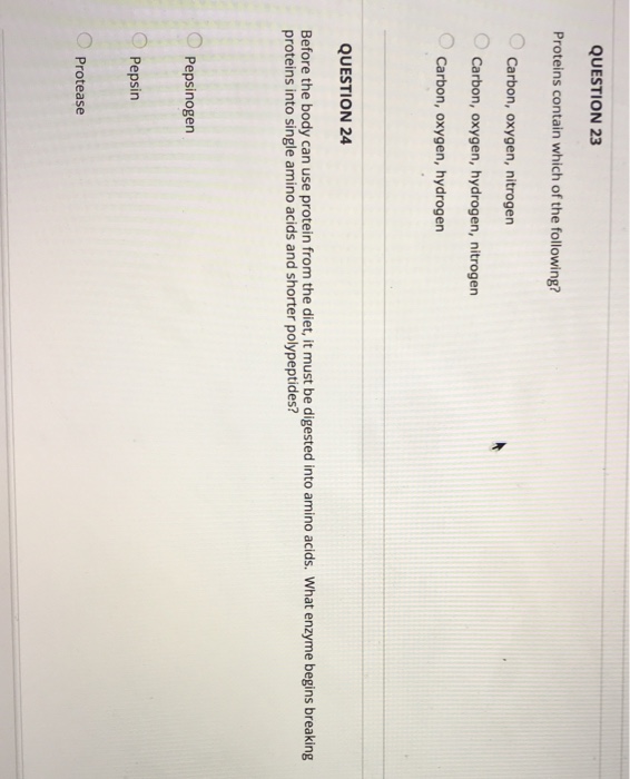 Solved QUESTION 23 Proteins contain which of the following? | Chegg.com