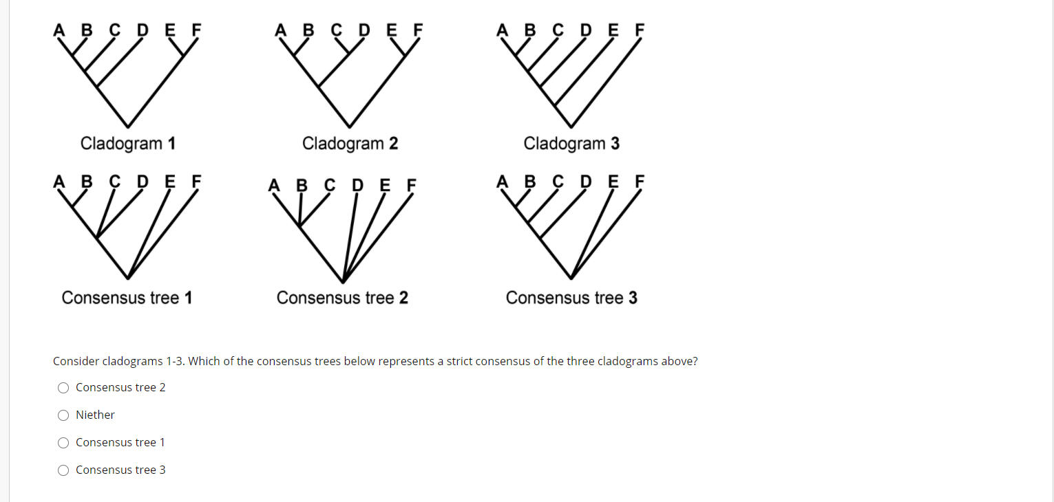 Solved B C P E F B C D Ny Vy W V Cladogram 1 Cladogram 2 Chegg Com