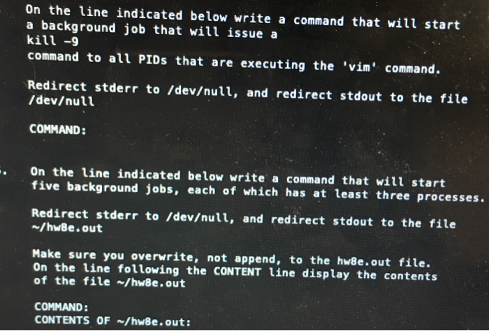 Solved on the line indicated below write a command that will | Chegg.com