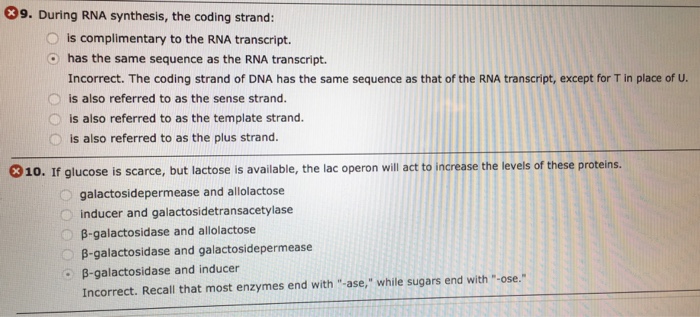 Solved 39. During RNA synthesis, the coding strand: O is | Chegg.com