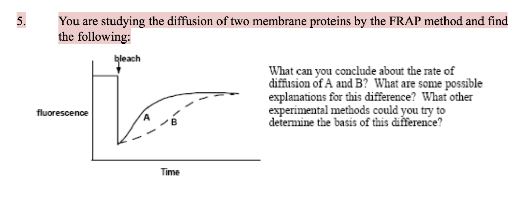You are studying the diffusion of two membrane | Chegg.com