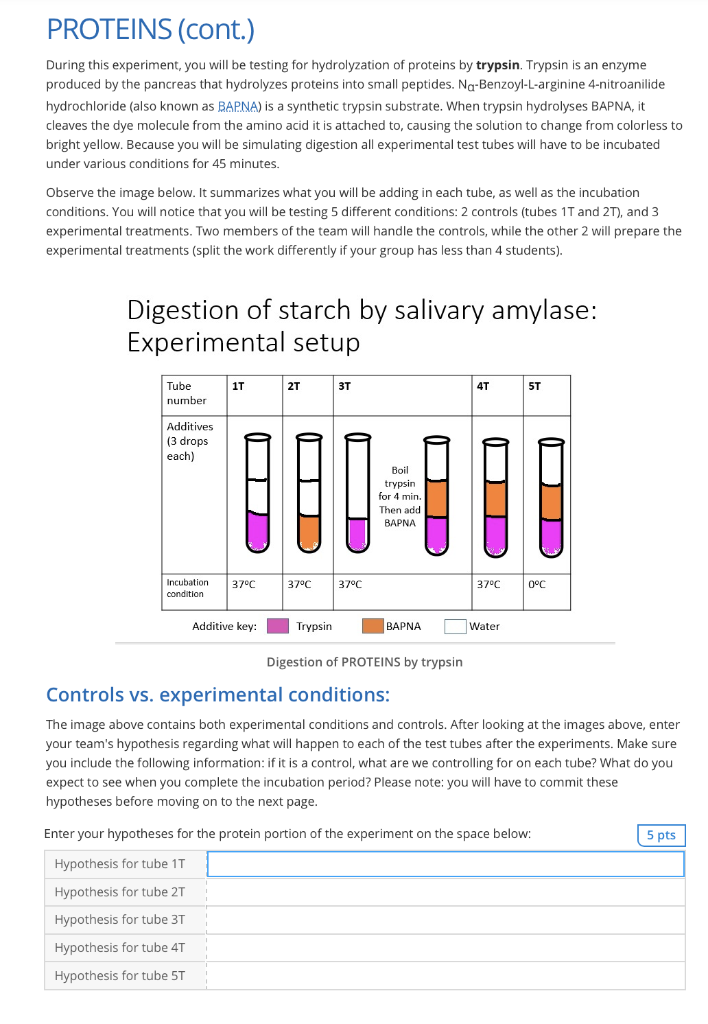 trypsin enzyme ph experiment