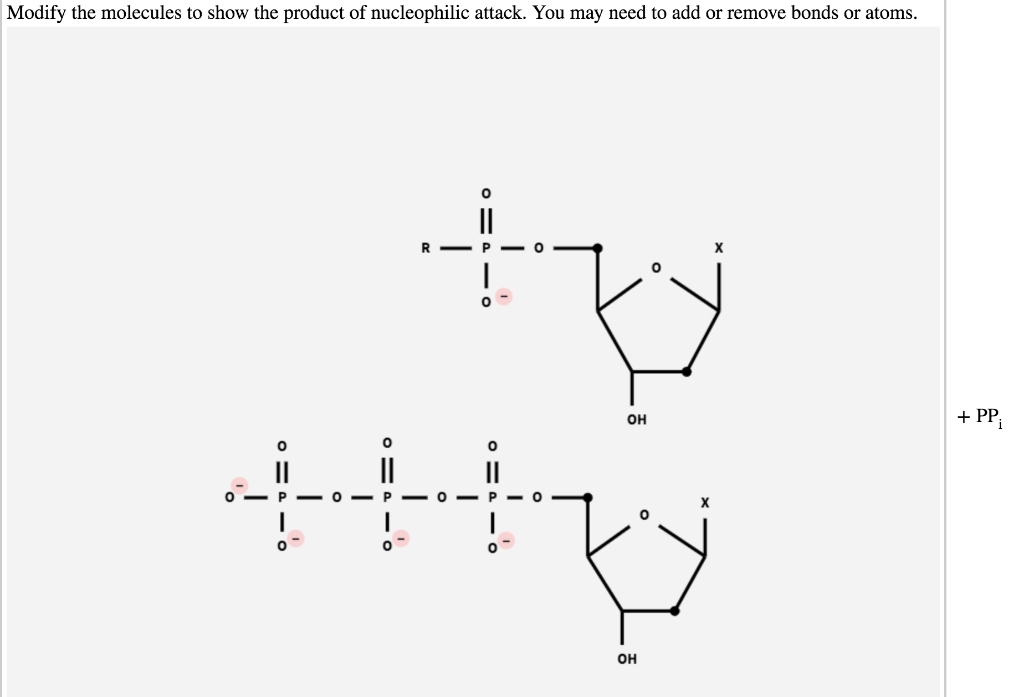 Solved Nucleotides Are Added To The 3' End Of A Growing DNA | Chegg.com