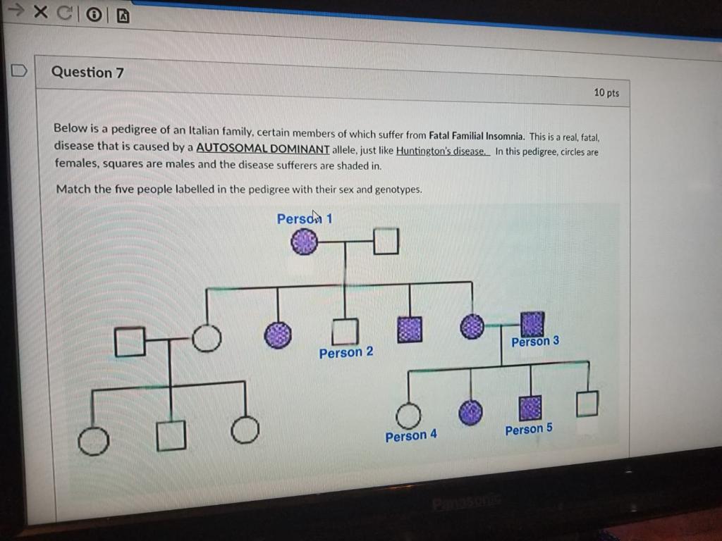 Solved Question 7 10 pts Below is a pedigree of an Italian | Chegg.com