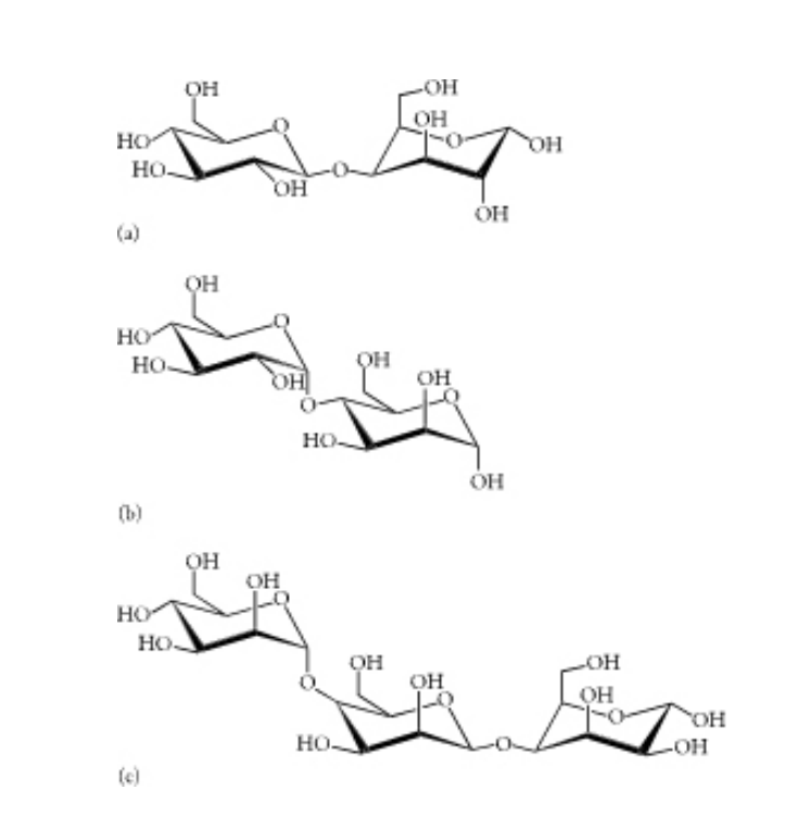 Solved Which of the saccharides in figure below is or are | Chegg.com