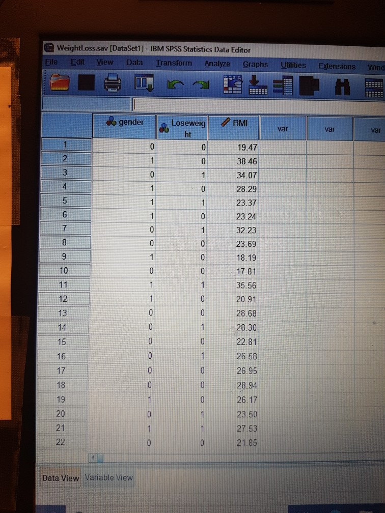 ibm spss statistics data editor ibm spss statistics data editor