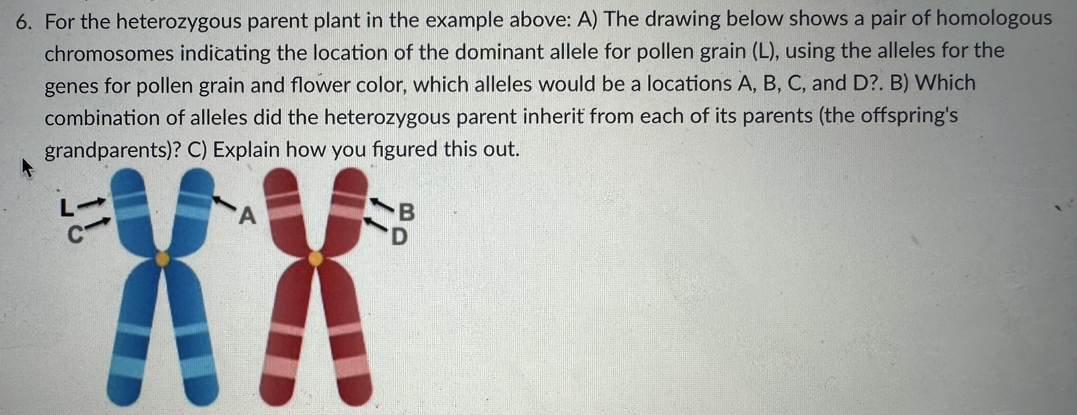 Geography Basics: Key Concepts Explained | PDF, image size:3523x1357