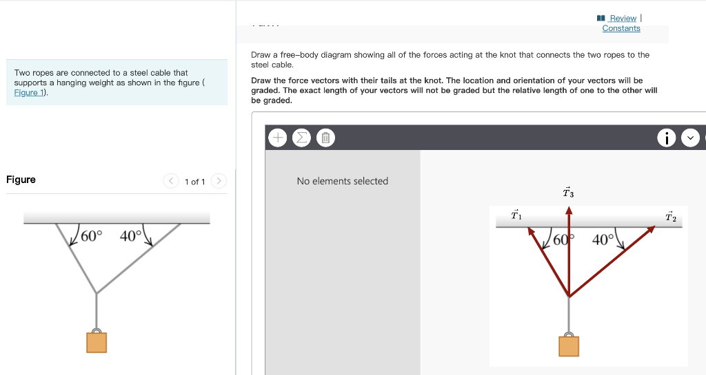 Solved Draw the force diagram and show all the forces and