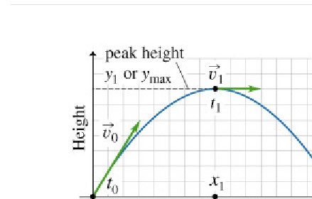 What Are The Values Of The Velocity Vector Components 