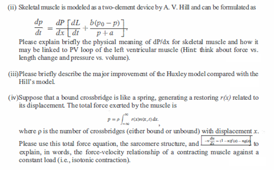 (ii) Skeletal muscle is modeled as a two-clement device by A. V. Hill and can be formulated as
\[
\frac{d p}{d t}=\frac{d P}{