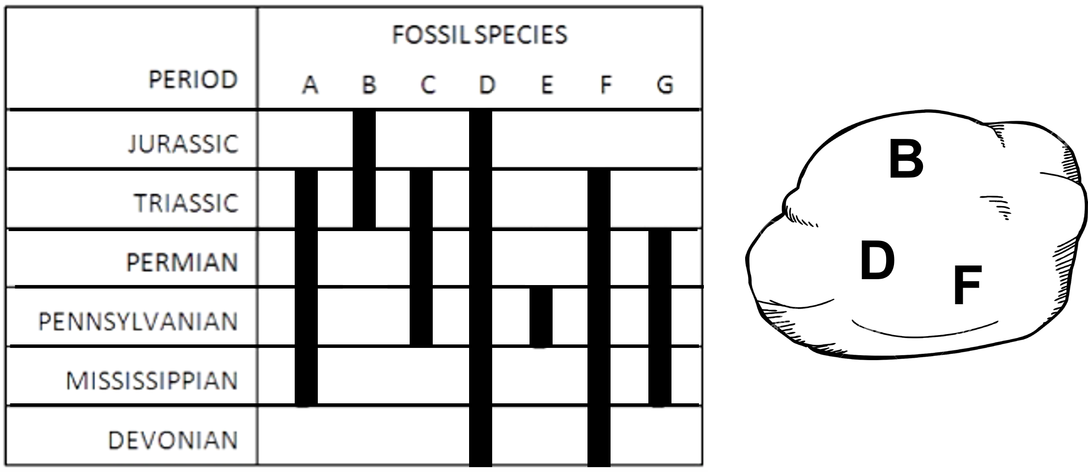 solved-based-on-the-same-diagram-the-rock-sample-came-from-chegg