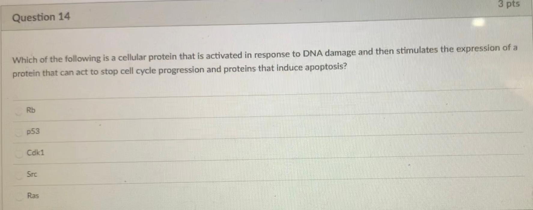 Solved 3 pts Question 13 If the analysis of the amino acid | Chegg.com