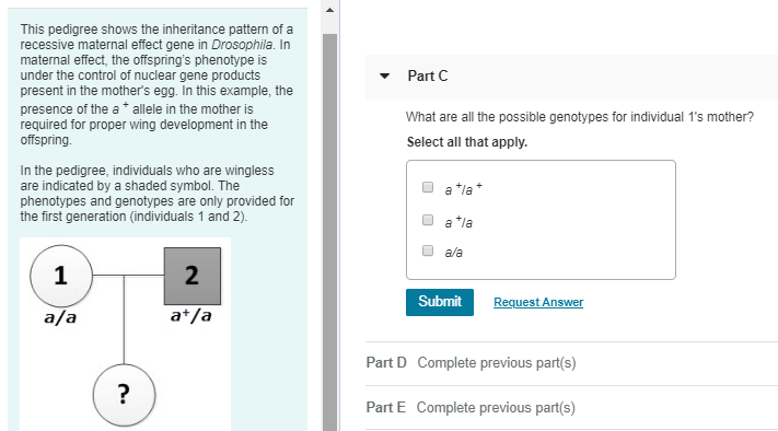 Solved This Pedigree Shows The Inheritance Pattern Of A R