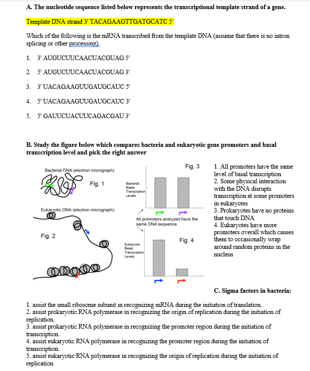 Solved A. The nucleotide sequence listed below represents | Chegg.com