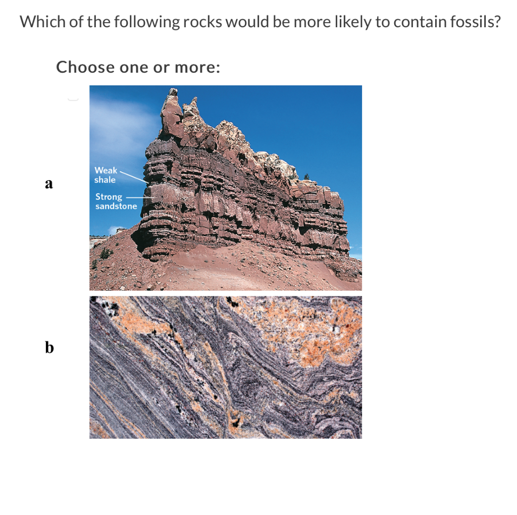 Solved Which of the following rocks would be more likely to