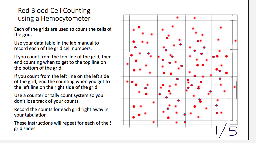 How to use clicker counter to quantify cells 