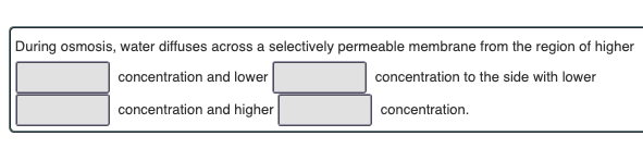 Solved During Osmosis, Water Diffuses Across A Selectively | Chegg.com