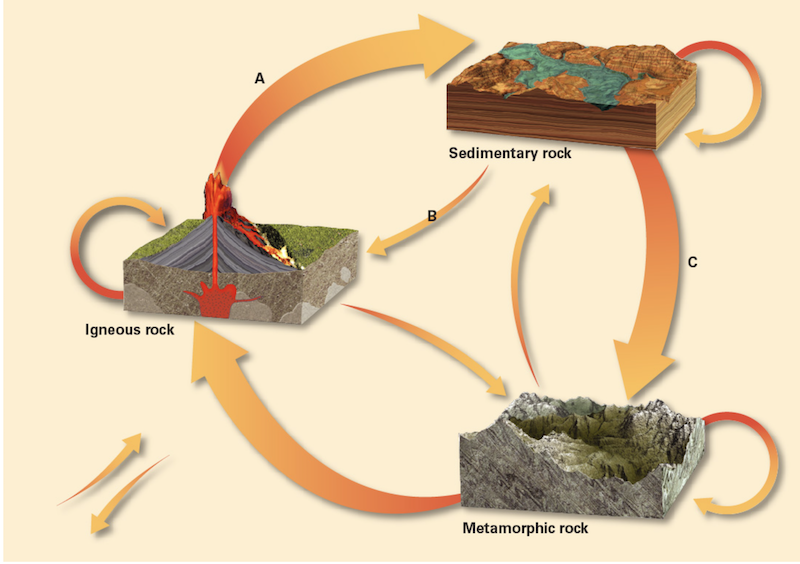 Solved: The Following Image Shows The Rock Cycle. The Thre... | Chegg.com