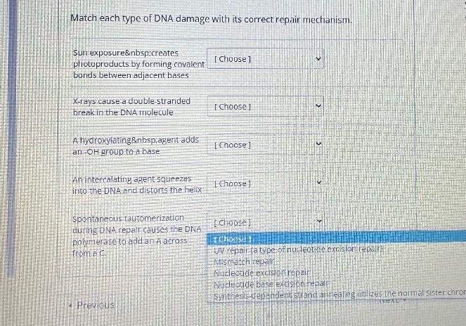 Solved Match each type of DNA damage with its correct repair | Chegg.com