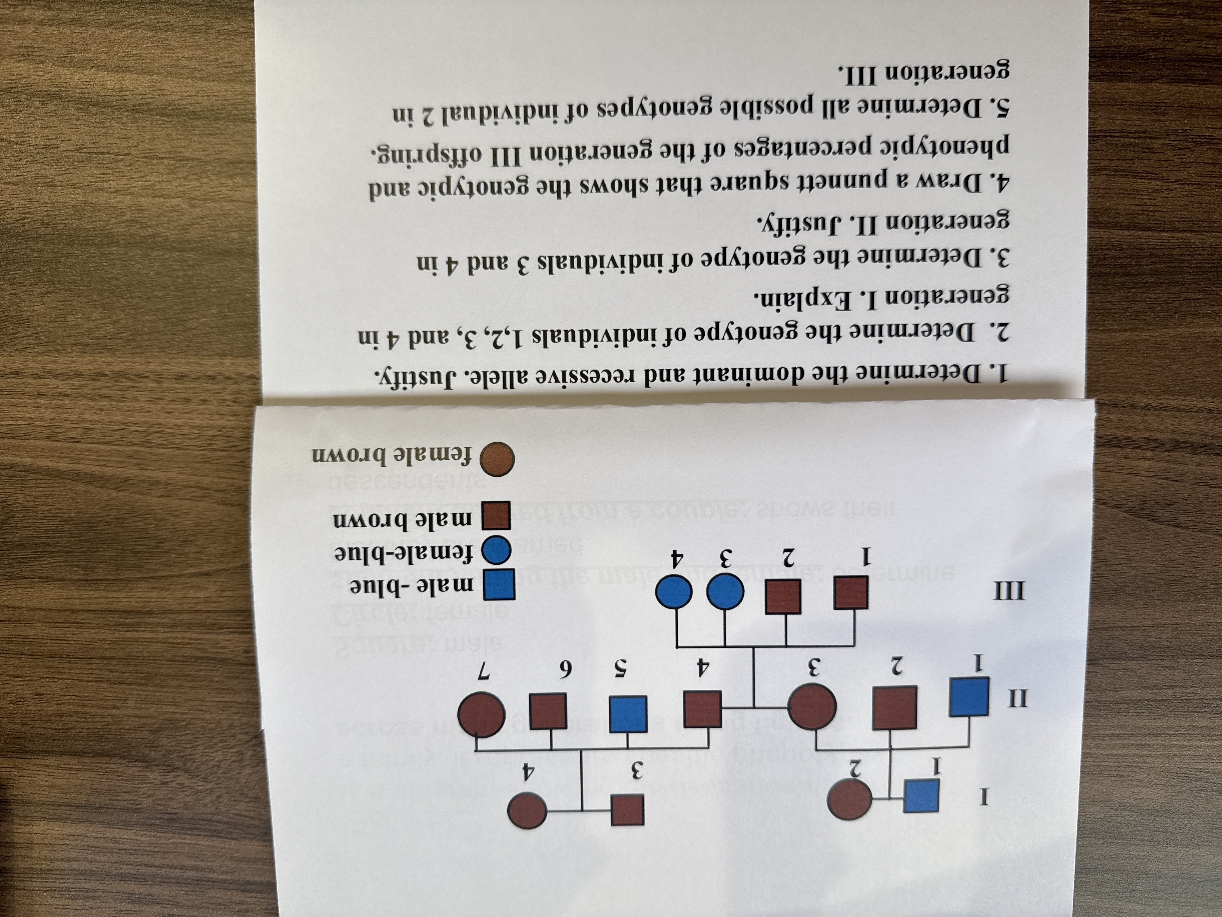 Solved 1. ﻿Determine the dominant and recessive allele. | Chegg.com