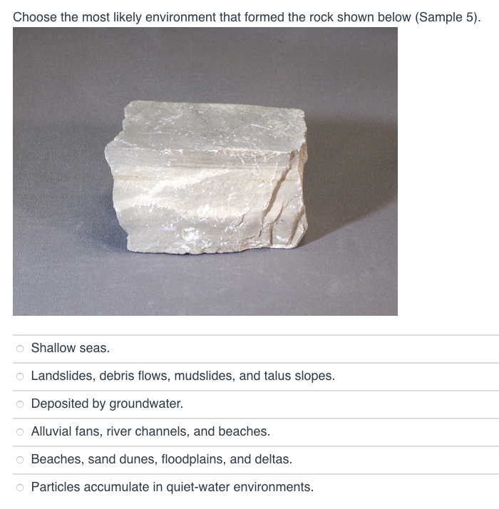 Solved Choose the most likely environment that formed the | Chegg.com