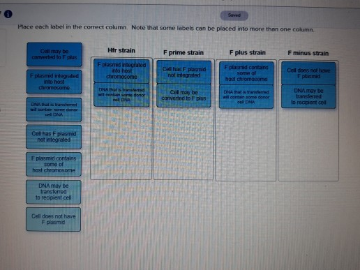 Solved Place each label in the correct column. Note that | Chegg.com