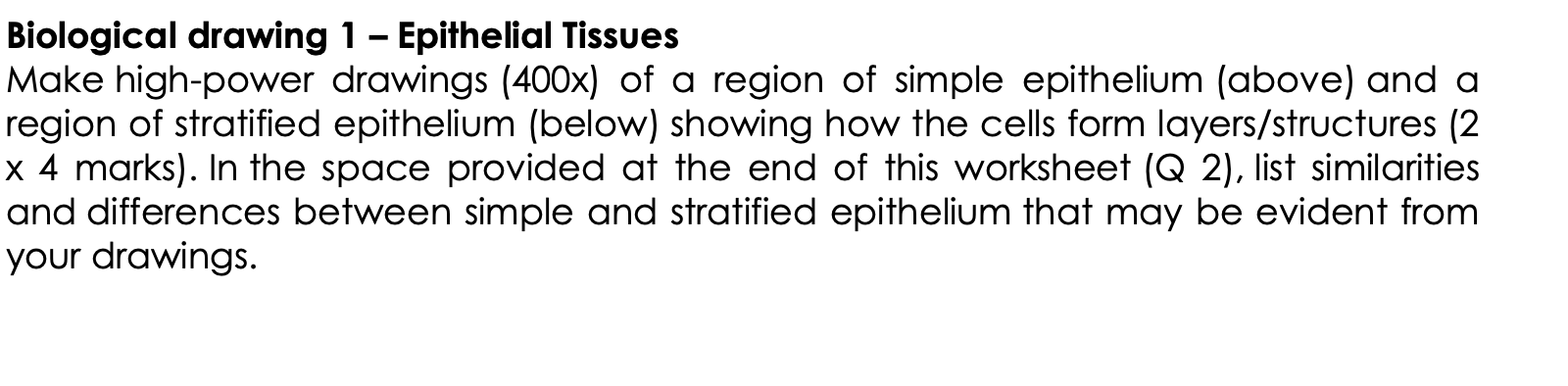 Solved Biological drawing 2 - Cartilage Make a high-power | Chegg.com