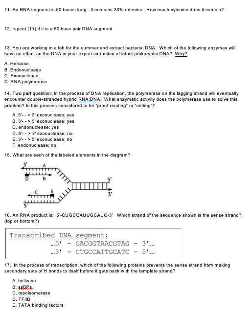 Solved 1 What Is The Rna Transcript Sequence Predicted F Chegg Com